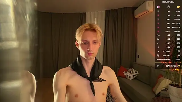 artkita webcam