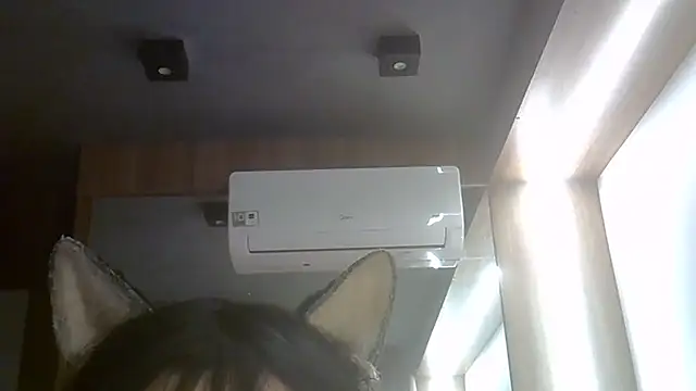 SkinnyKitten webcam