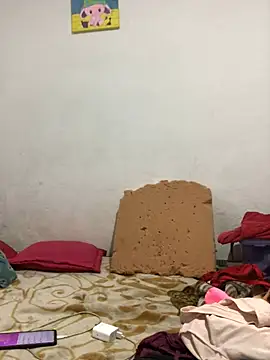 EliVanegas webcam