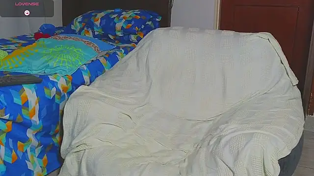 Regansmiths webcam