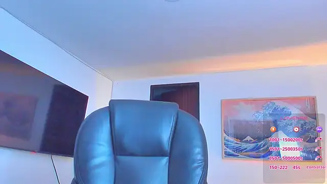RJBarto webcam