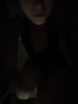 Vanneskk webcam
