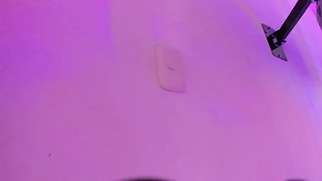 Siena_fox webcam