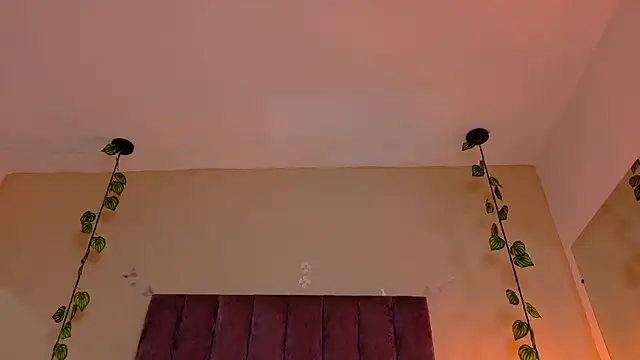 Liam__Mercury webcam