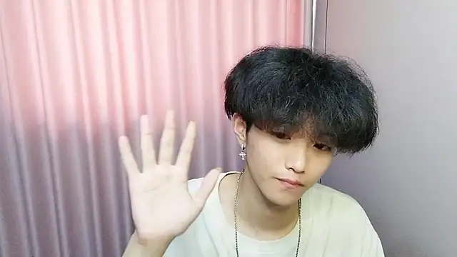 wssoo11 webcam