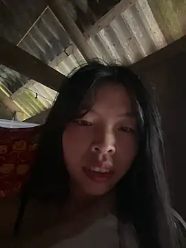 Hikomy- webcam