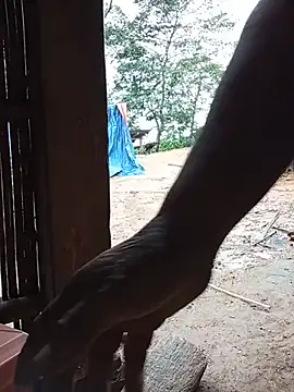 Single-M0m69 live cam