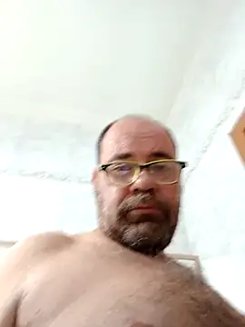 accipicchio webcam
