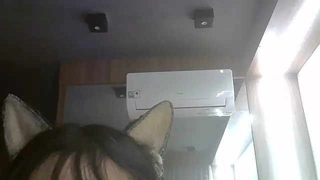 SkinnyKitten webcam