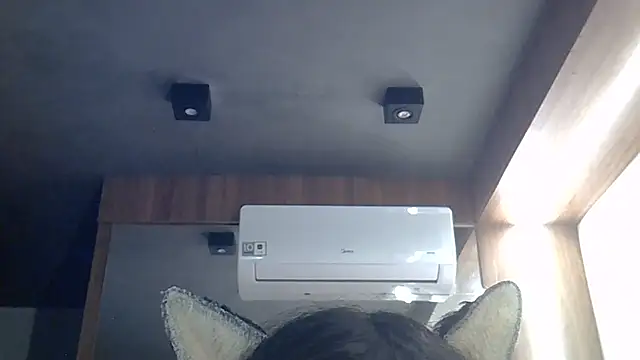 SkinnyKitten webcam