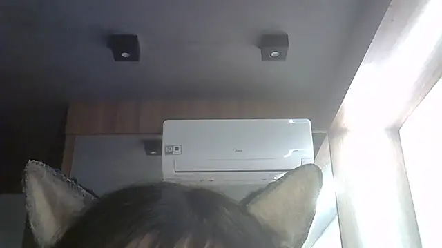 SkinnyKitten live cam on StripChat
