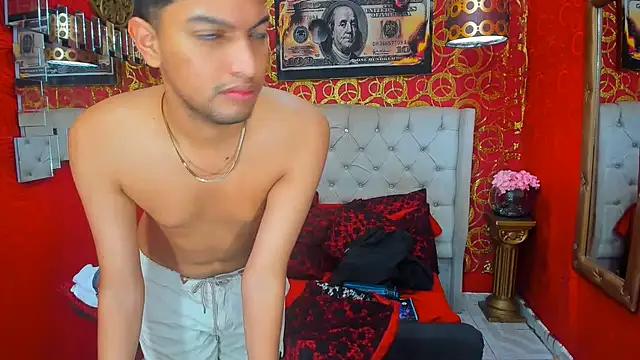 PEINBOYS webcam