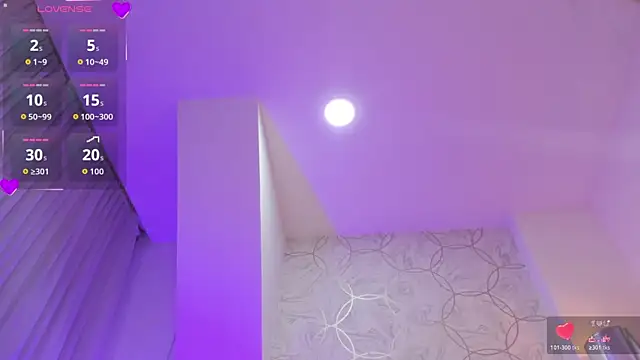 Foxy200__ webcam