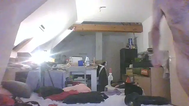 Mastersanges webcam