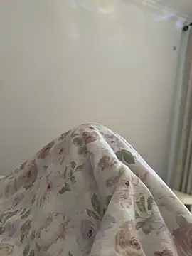 liu-bao webcam