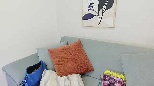 KassMonroe webcam