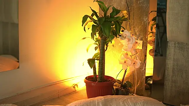 AriBloom7 webcam