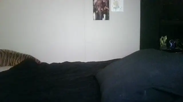 XRoxy_ThorneX webcam
