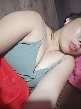 -Nibi- webcam