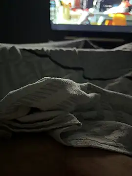 Bistouflex webcam