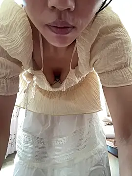 cmvoo webcam