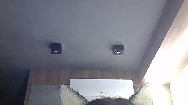 SkinnyKitten webcam