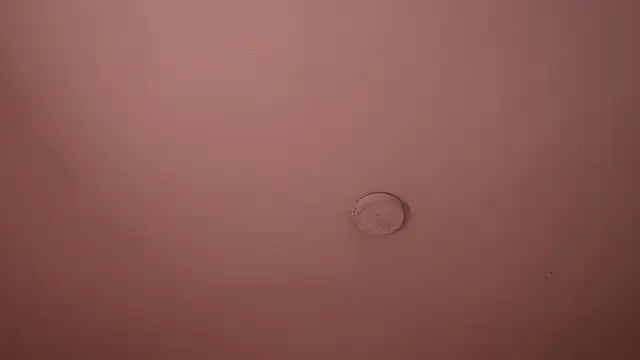 soidai_miiu webcam