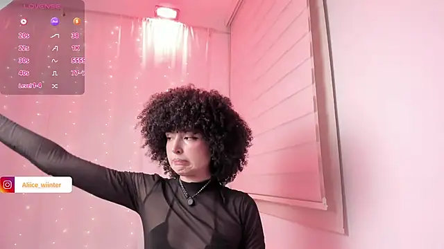 Alice_winter_ webcam