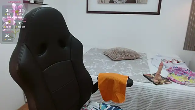 sila_bolum webcam
