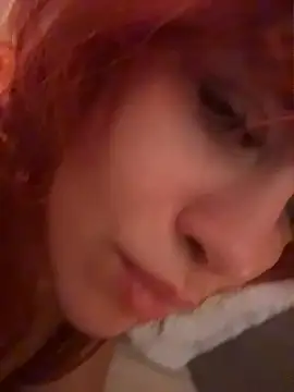 DarkDesin webcam