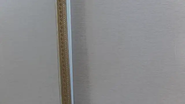 FoxyJoy webcam