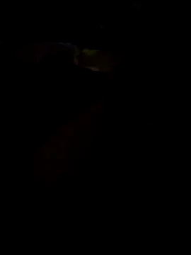 -epicene_bullock- webcam