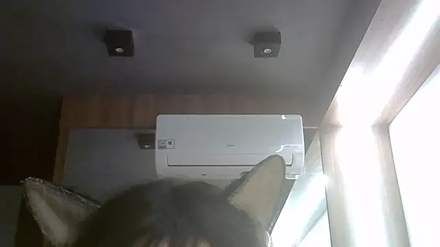 SkinnyKitten live cam on StripChat