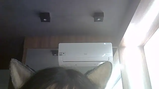 SkinnyKitten webcam