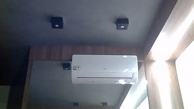 SkinnyKitten webcam