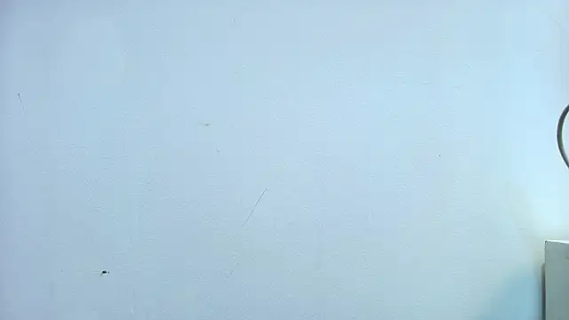 AuroraRenard webcam