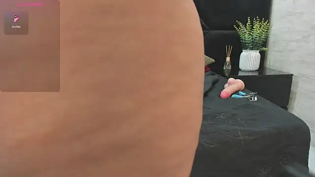Dantzel_ webcam