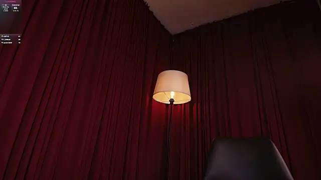 Alice-blaker webcam