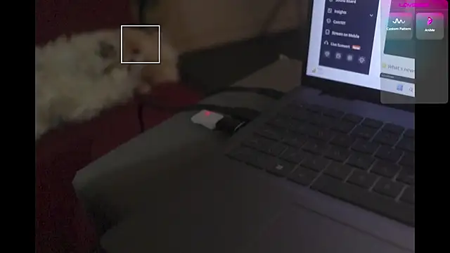 MiaMoon_ webcam