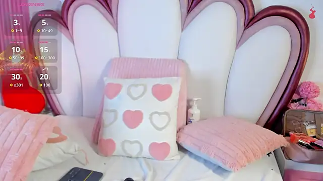 AriaCush webcam