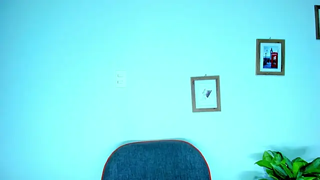 teresasroom_ webcam