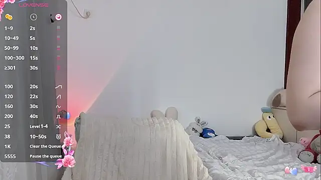 _flipped_ webcam