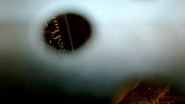 AshleySofiaThenison webcam