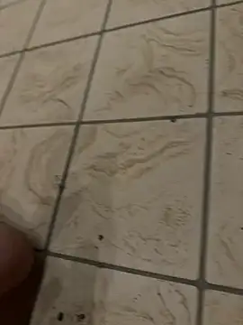 maialin69 webcam
