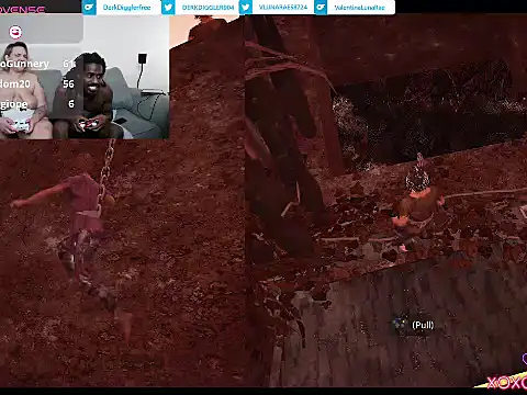DerkAndValentina webcam