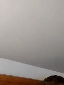 leo_pt_BR webcam