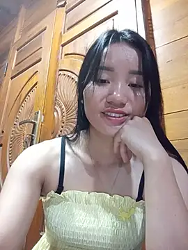 Td3di webcam