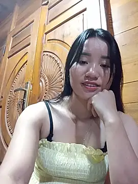 Td3di webcam