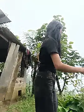 Hoa-tuylip