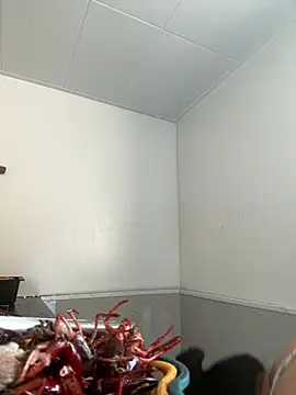 daaqnn live cam on StripChat